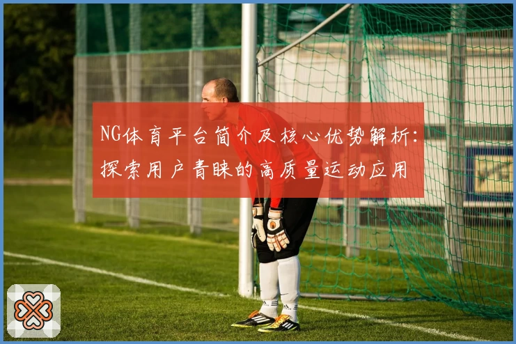 NG体育平台简介及核心优势解析：探索用户青睐的高质量运动应用